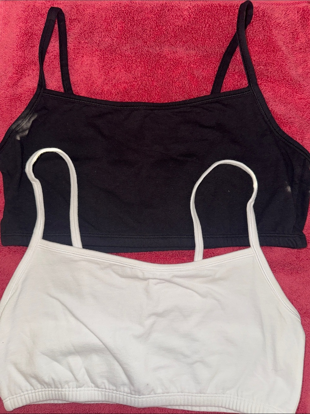 Fruit of the Loom Black & White Seamless Crop Bralette Set